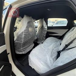 بي واي دي سيل 06 DM-i